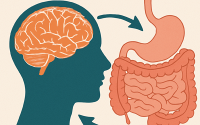 Gut Feeling: How Your Gut Health Affects Anxiety – And How Hypnotherapy Can Help