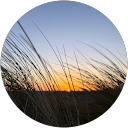 michael lawrence profile picture